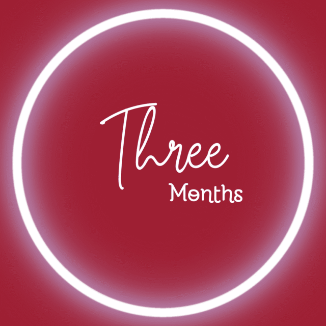 Three Months (without box)